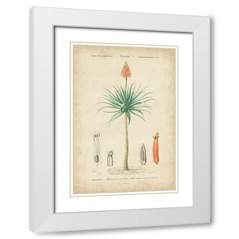 Tropical Botanique II White Modern Wood Framed Art Print with Double Matting by Vision Studio