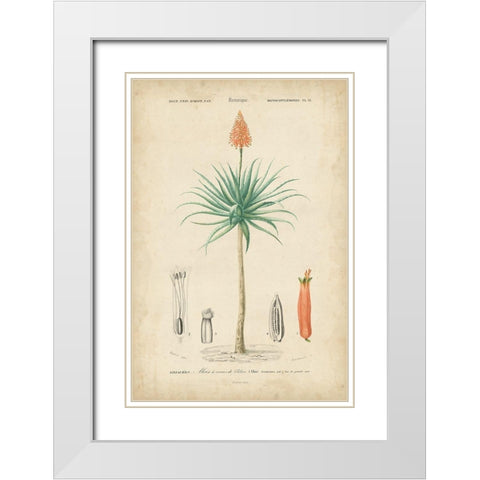 Tropical Botanique II White Modern Wood Framed Art Print with Double Matting by Vision Studio