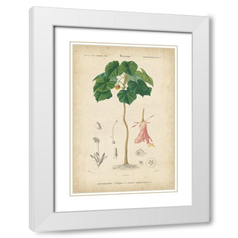 Tropical Botanique V White Modern Wood Framed Art Print with Double Matting by Vision Studio