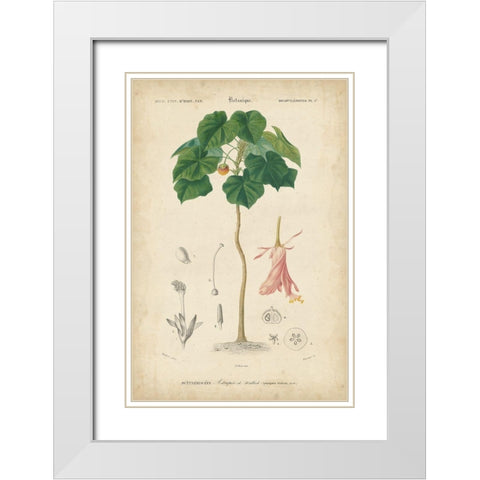 Tropical Botanique V White Modern Wood Framed Art Print with Double Matting by Vision Studio