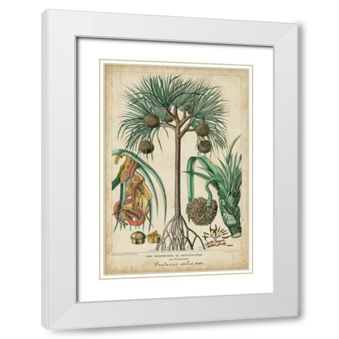 Palma Exotica I White Modern Wood Framed Art Print with Double Matting by Vision Studio