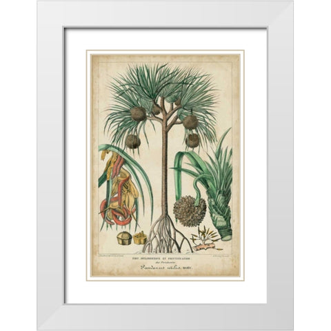 Palma Exotica I White Modern Wood Framed Art Print with Double Matting by Vision Studio