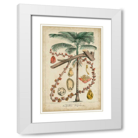 Palma Exotica II White Modern Wood Framed Art Print with Double Matting by Vision Studio