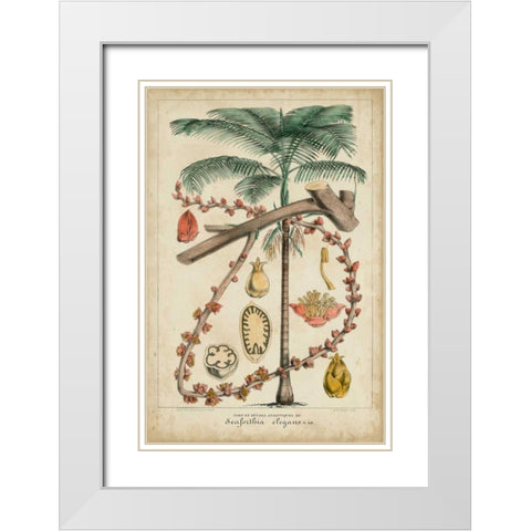 Palma Exotica II White Modern Wood Framed Art Print with Double Matting by Vision Studio