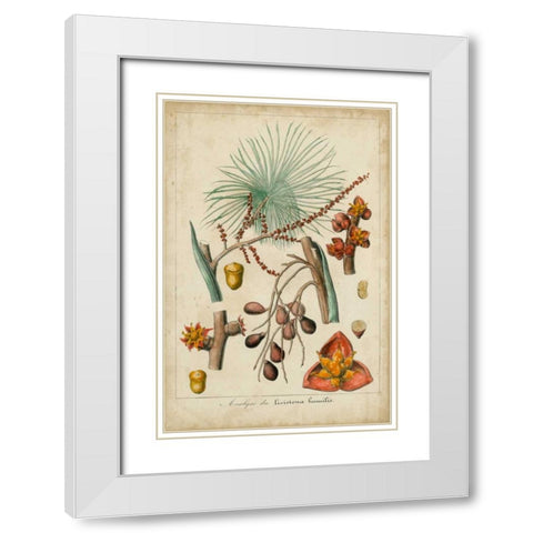 Palma Exotica III White Modern Wood Framed Art Print with Double Matting by Vision Studio