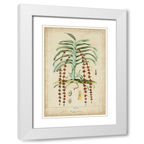 Palma Exotica IV White Modern Wood Framed Art Print with Double Matting by Vision Studio