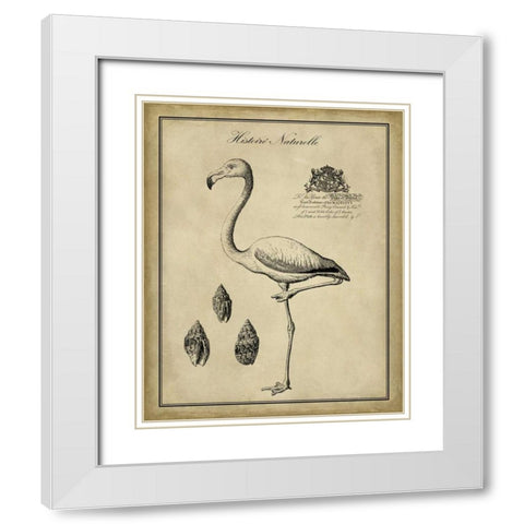 Antiquarian Flamingo White Modern Wood Framed Art Print with Double Matting by Vision Studio