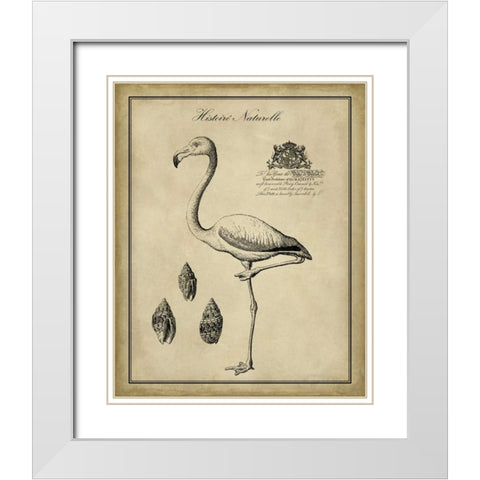 Antiquarian Flamingo White Modern Wood Framed Art Print with Double Matting by Vision Studio