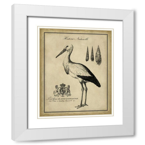 Antiquarian Stork White Modern Wood Framed Art Print with Double Matting by Vision Studio