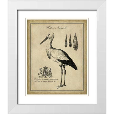 Antiquarian Stork White Modern Wood Framed Art Print with Double Matting by Vision Studio