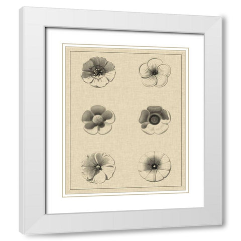 Floral Rosette I White Modern Wood Framed Art Print with Double Matting by Vision Studio