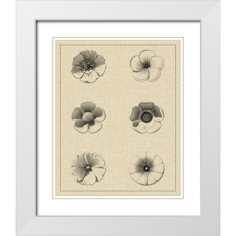 Floral Rosette I White Modern Wood Framed Art Print with Double Matting by Vision Studio