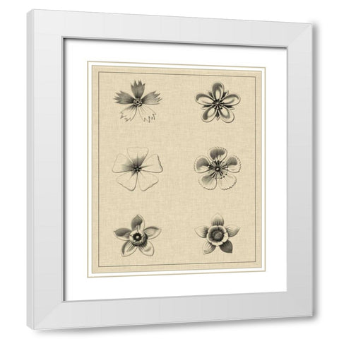 Floral Rosette II White Modern Wood Framed Art Print with Double Matting by Vision Studio