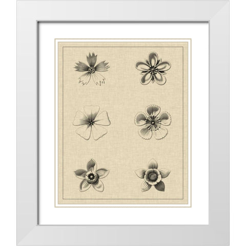 Floral Rosette II White Modern Wood Framed Art Print with Double Matting by Vision Studio