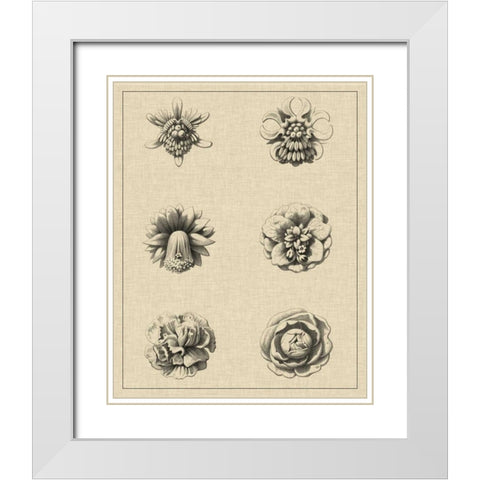Floral Rosette III White Modern Wood Framed Art Print with Double Matting by Vision Studio