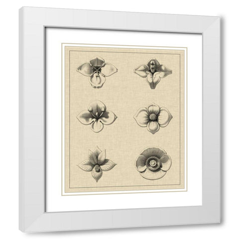 Floral Rosette IV White Modern Wood Framed Art Print with Double Matting by Vision Studio