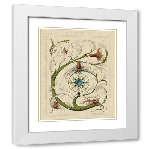 Decorative Flourish III White Modern Wood Framed Art Print with Double Matting by Vision Studio
