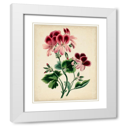 Natures Romance IV White Modern Wood Framed Art Print with Double Matting by Vision Studio