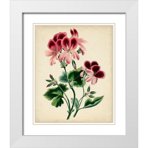 Natures Romance IV White Modern Wood Framed Art Print with Double Matting by Vision Studio