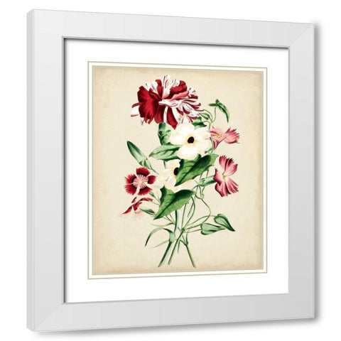 Natures Romance VI White Modern Wood Framed Art Print with Double Matting by Vision Studio