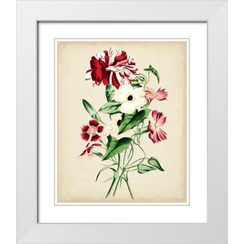 Natures Romance VI White Modern Wood Framed Art Print with Double Matting by Vision Studio
