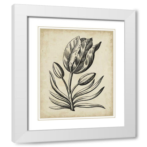 Distinguished Floral I White Modern Wood Framed Art Print with Double Matting by Vision Studio
