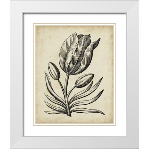 Distinguished Floral I White Modern Wood Framed Art Print with Double Matting by Vision Studio