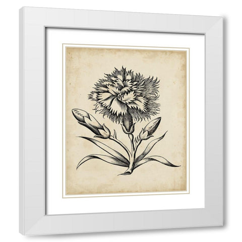 Distinguished Floral III White Modern Wood Framed Art Print with Double Matting by Vision Studio