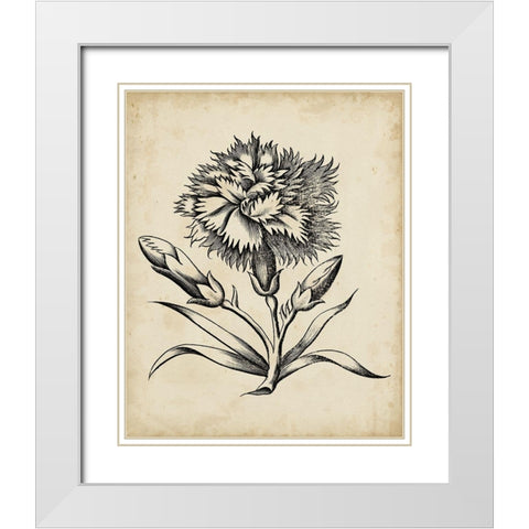 Distinguished Floral III White Modern Wood Framed Art Print with Double Matting by Vision Studio