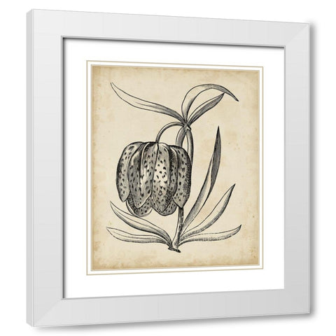 Distinguished Floral IV White Modern Wood Framed Art Print with Double Matting by Vision Studio