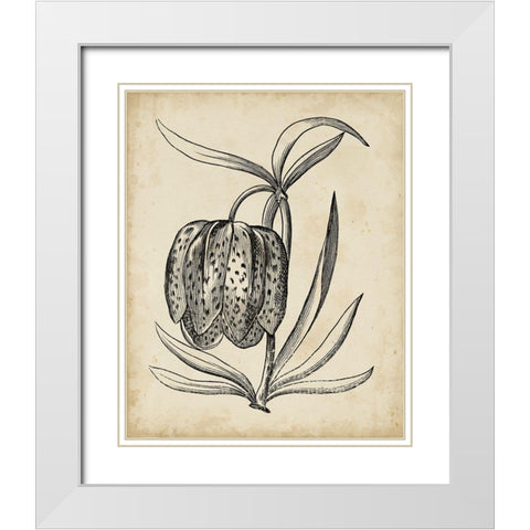 Distinguished Floral IV White Modern Wood Framed Art Print with Double Matting by Vision Studio