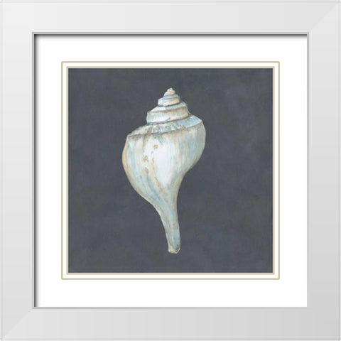 Shell on Slate IV White Modern Wood Framed Art Print with Double Matting by Meagher, Megan