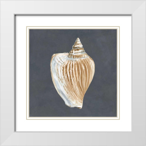 Shell on Slate VI White Modern Wood Framed Art Print with Double Matting by Meagher, Megan