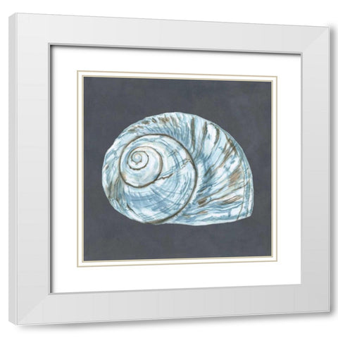 Shell on Slate VIII White Modern Wood Framed Art Print with Double Matting by Meagher, Megan