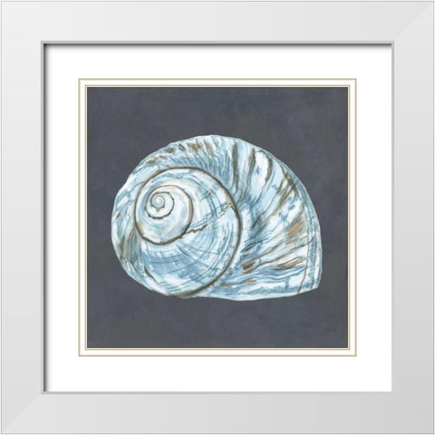 Shell on Slate VIII White Modern Wood Framed Art Print with Double Matting by Meagher, Megan