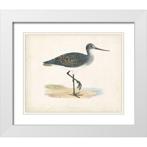 Morris Sandpiper III White Modern Wood Framed Art Print with Double Matting by Morris