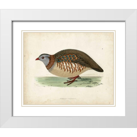 Morris Pheasants III White Modern Wood Framed Art Print with Double Matting by Morris