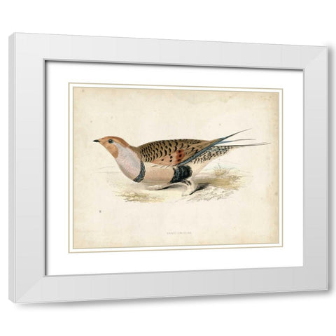 Morris Pheasants V White Modern Wood Framed Art Print with Double Matting by Morris