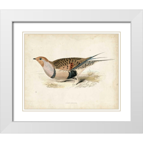 Morris Pheasants V White Modern Wood Framed Art Print with Double Matting by Morris