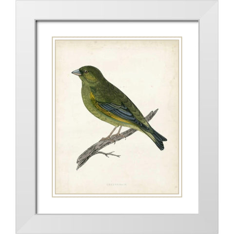 Morris Greenfinch White Modern Wood Framed Art Print with Double Matting by Morris