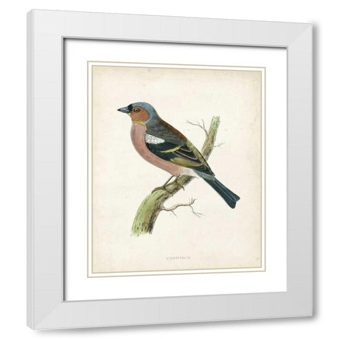 Morris Chaffinch White Modern Wood Framed Art Print with Double Matting by Morris