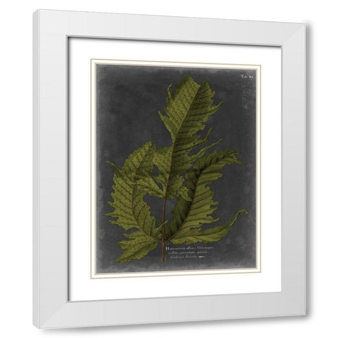 Foliage Dramatique I White Modern Wood Framed Art Print with Double Matting by Vision Studio