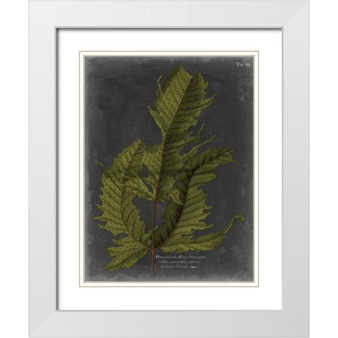 Foliage Dramatique I White Modern Wood Framed Art Print with Double Matting by Vision Studio