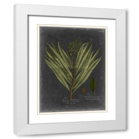 Foliage Dramatique II White Modern Wood Framed Art Print with Double Matting by Vision Studio