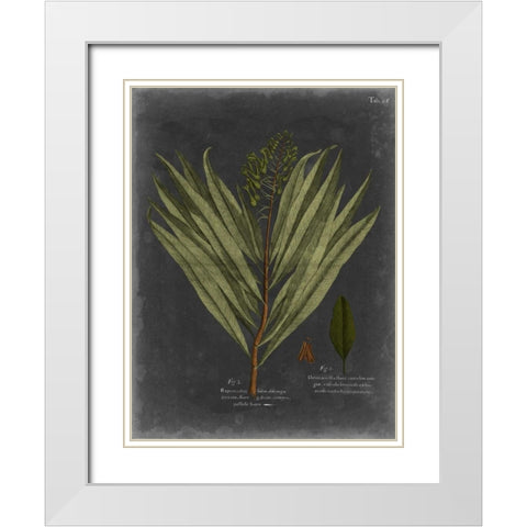 Foliage Dramatique II White Modern Wood Framed Art Print with Double Matting by Vision Studio