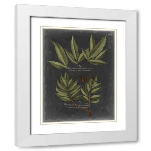 Foliage Dramatique IV White Modern Wood Framed Art Print with Double Matting by Vision Studio