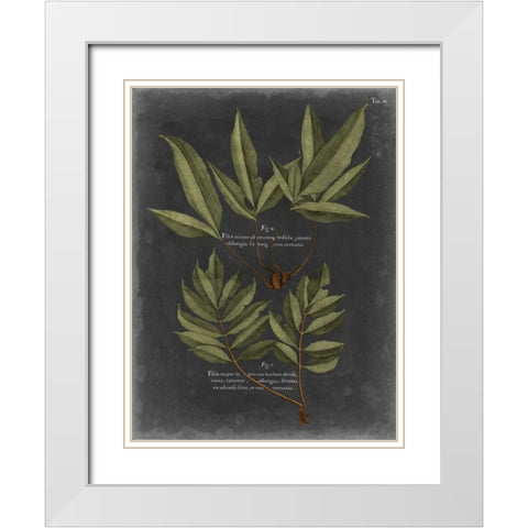 Foliage Dramatique IV White Modern Wood Framed Art Print with Double Matting by Vision Studio
