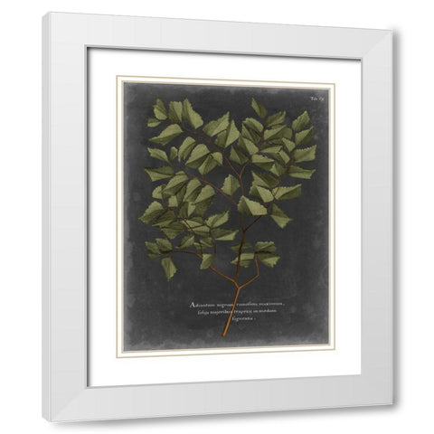 Foliage Dramatique V White Modern Wood Framed Art Print with Double Matting by Vision Studio