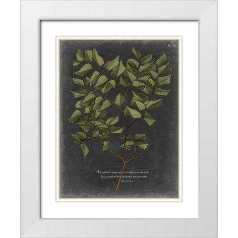 Foliage Dramatique V White Modern Wood Framed Art Print with Double Matting by Vision Studio