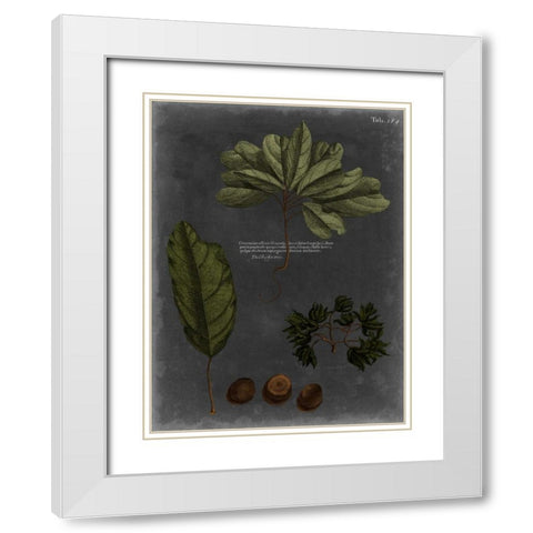 Foliage Dramatique VI White Modern Wood Framed Art Print with Double Matting by Vision Studio